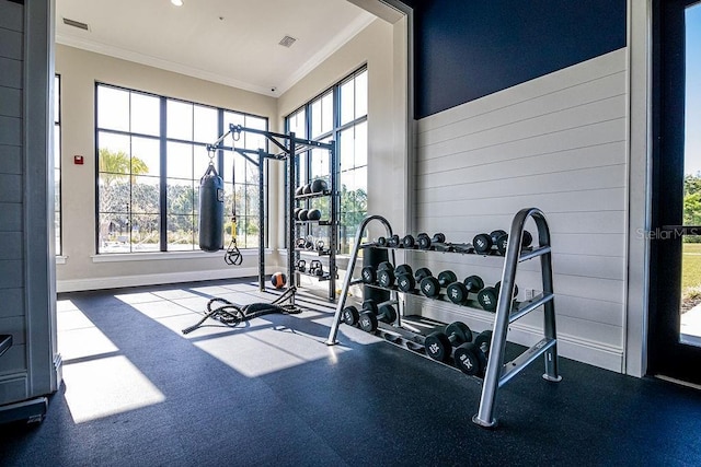 gym featuring ornamental molding