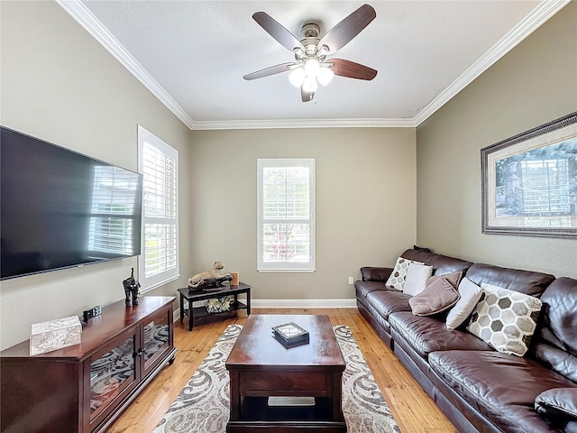 living room featuring ceiling fan, light hardwood / wood-style floors, and crown molding