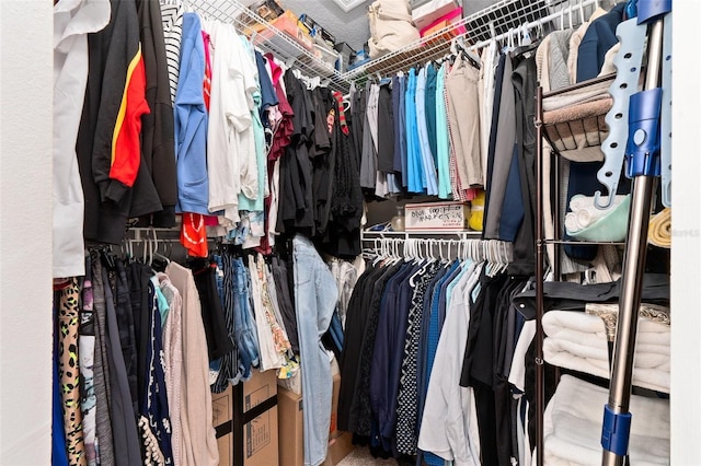 view of spacious closet