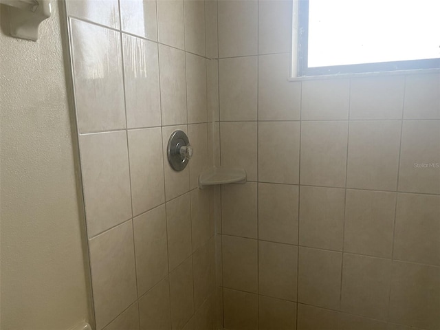 34 Pine Island Cir, Kissimmee, FL 34743 - bathroom view of tiled shower