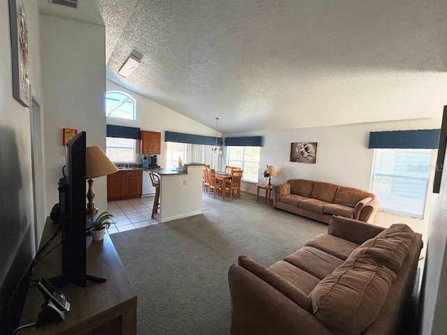 carpeted living room with a textured ceiling, vaulted ceiling, and sink