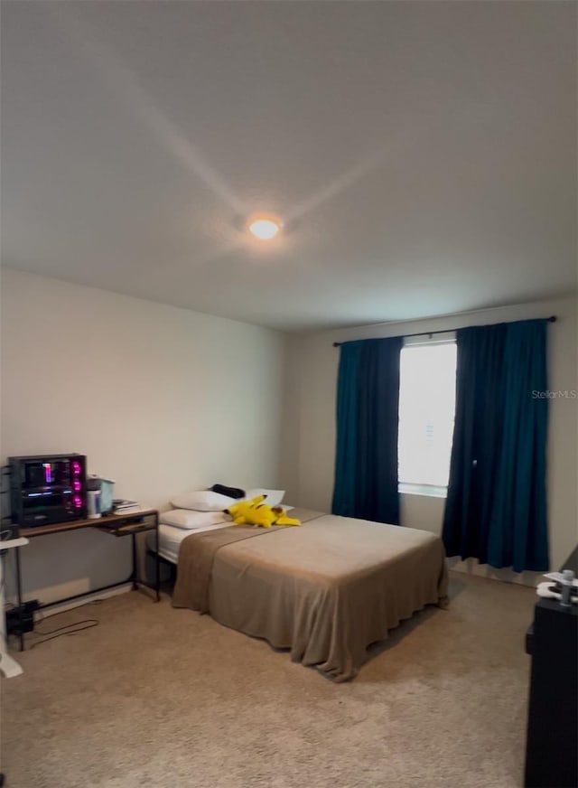 bedroom with carpet floors