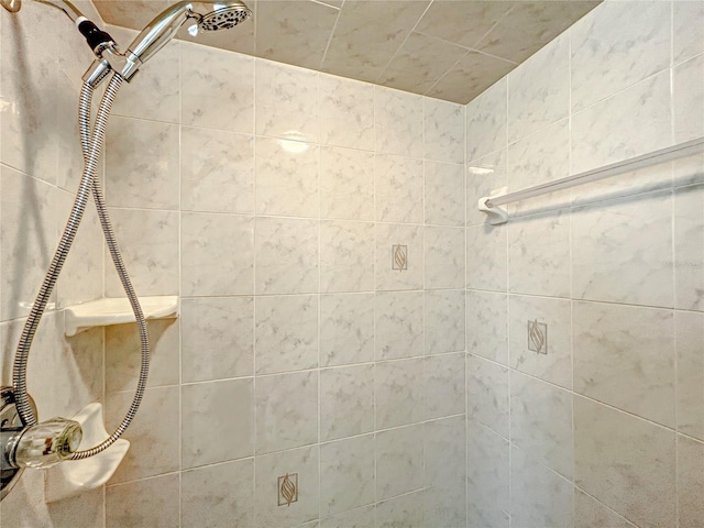 1281 N Timucuan Trl, Inverness, FL 34453 - interior details featuring a tile shower