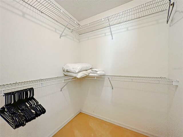 1281 N Timucuan Trl, Inverness, FL 34453 - view of spacious closet