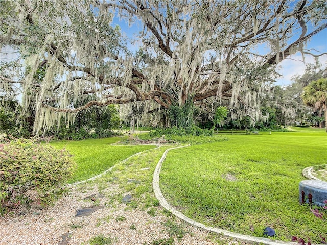 1281 N Timucuan Trl, Inverness, FL 34453 - view of yard