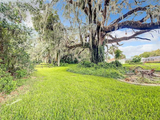 1281 N Timucuan Trl, Inverness, FL 34453 - view of yard