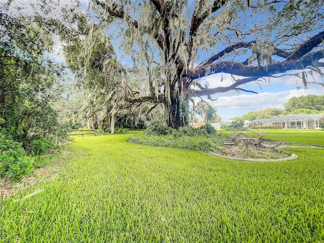 1281 N Timucuan Trl, Inverness, FL 34453 - view of yard