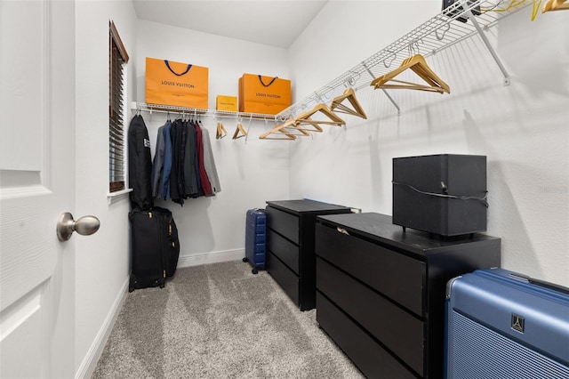 spacious closet with carpet floors