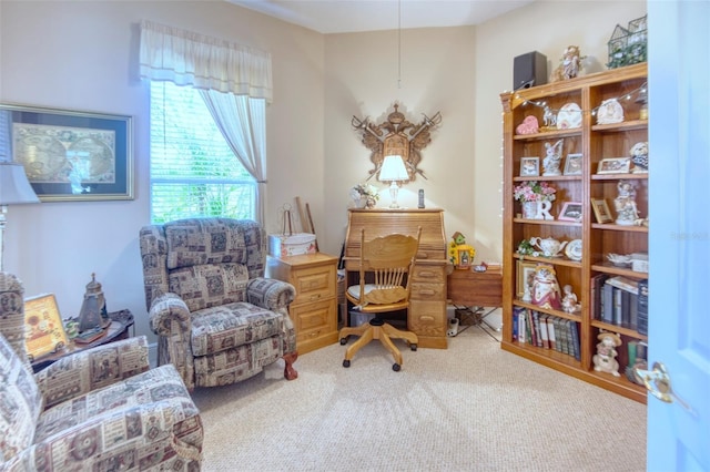 living area with carpet