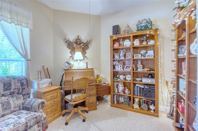 carpeted home office featuring a wealth of natural light