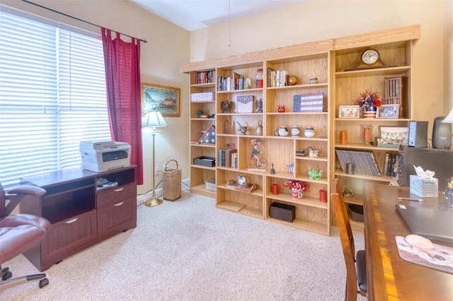 home office with light carpet