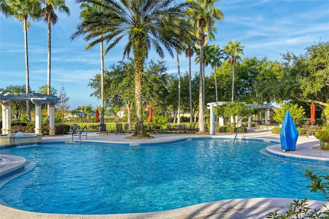 view of swimming pool featuring a patio