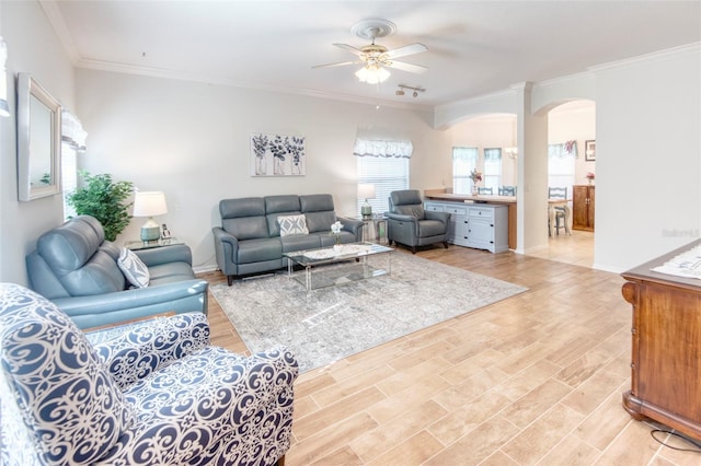 living room with ceiling fan, light wood-type flooring, and crown molding