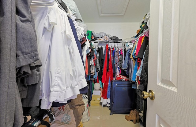 view of spacious closet