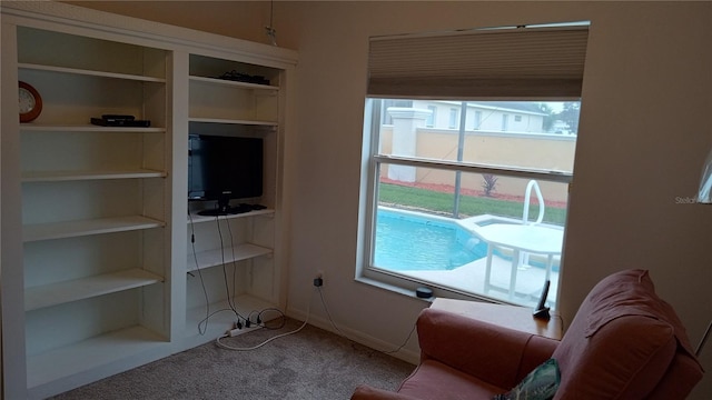 living room with carpet