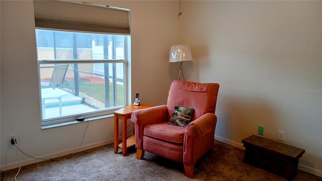 sitting room featuring carpet