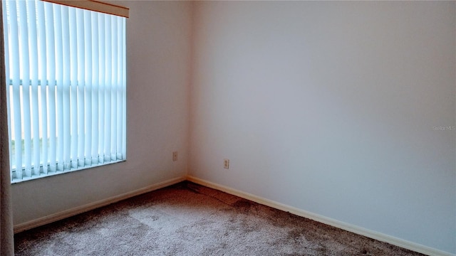 spare room with carpet and a wealth of natural light