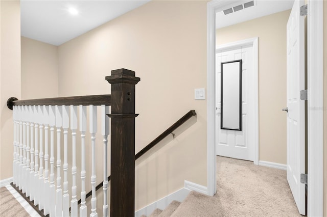 staircase featuring carpet floors