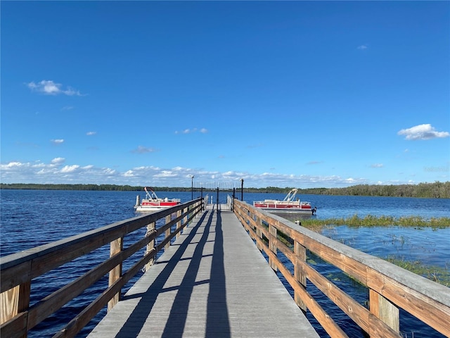 dock area featuring a water view