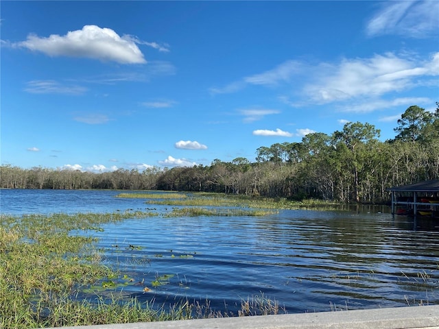 water view