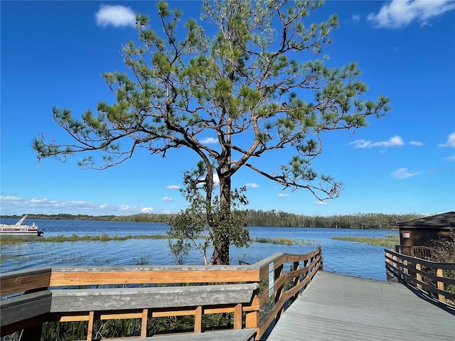 dock area featuring a water view