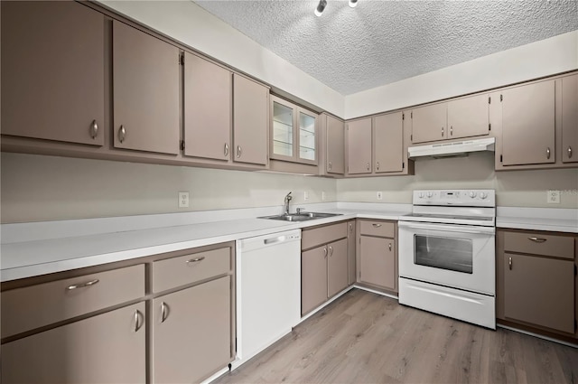 kitchen featuring a textured ceiling, white appliances, sink, light hardwood / wood-style flooring, and gray cabinets