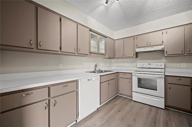1621 NE 2nd St Unit 203, Ocala, FL 34470 - photo 8