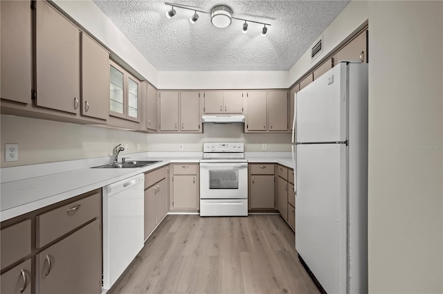 kitchen with a textured ceiling, white appliances, sink, gray cabinets, and light hardwood / wood-style floors