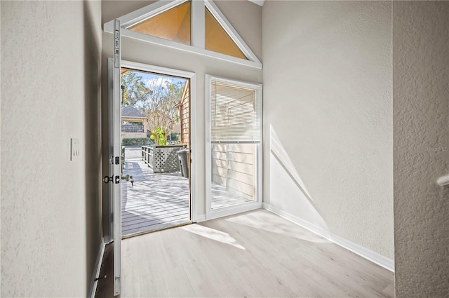 doorway featuring lofted ceiling and hardwood / wood-style flooring