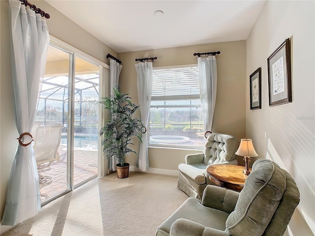 living area featuring light colored carpet