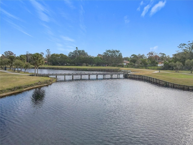 property view of water