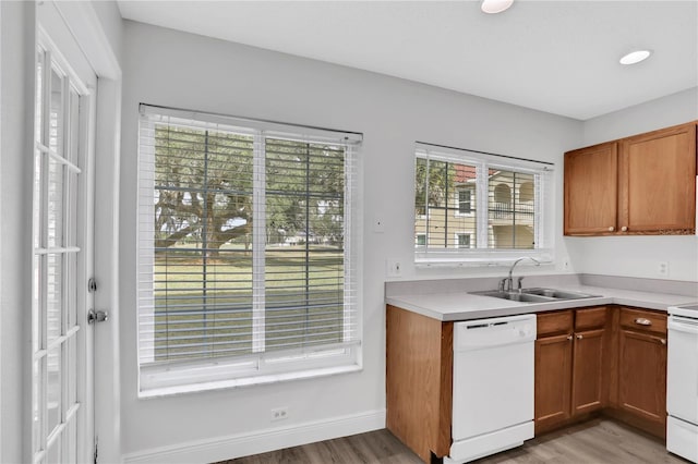 kitchen with white dishwasher, plenty of natural light, light wood-type flooring, and sink