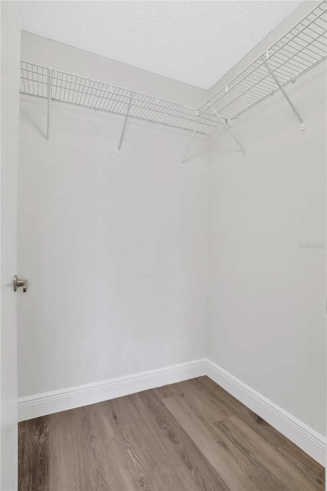 spacious closet featuring hardwood / wood-style flooring