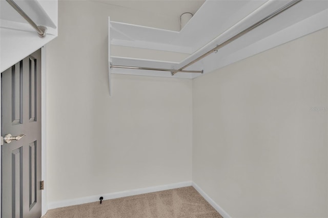 spacious closet with light carpet