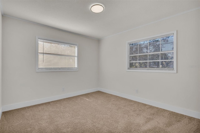 spare room featuring carpet floors and ornamental molding