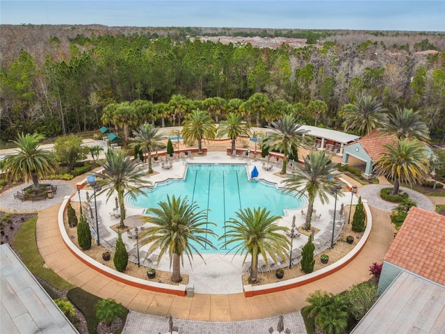 view of swimming pool