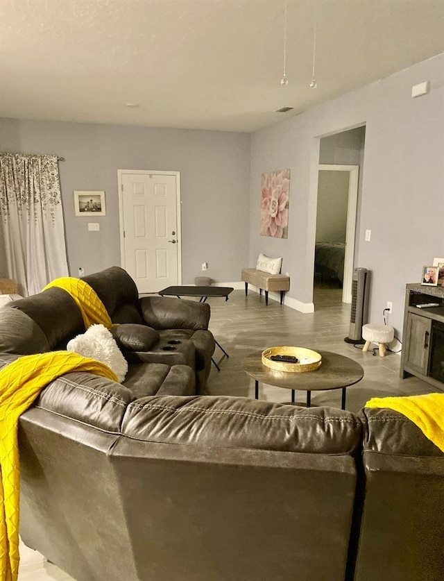 living room featuring hardwood / wood-style flooring