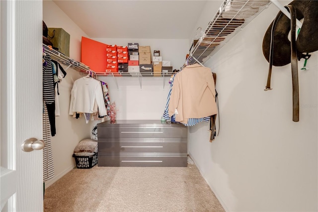 spacious closet featuring carpet