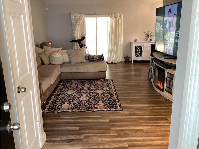 living room featuring hardwood / wood-style floors