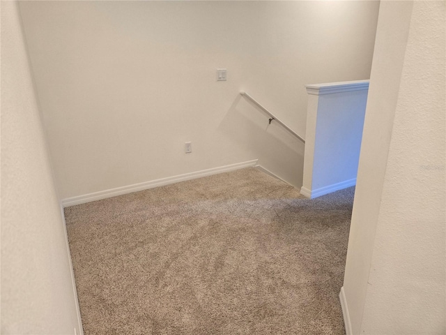 stairway with carpet flooring