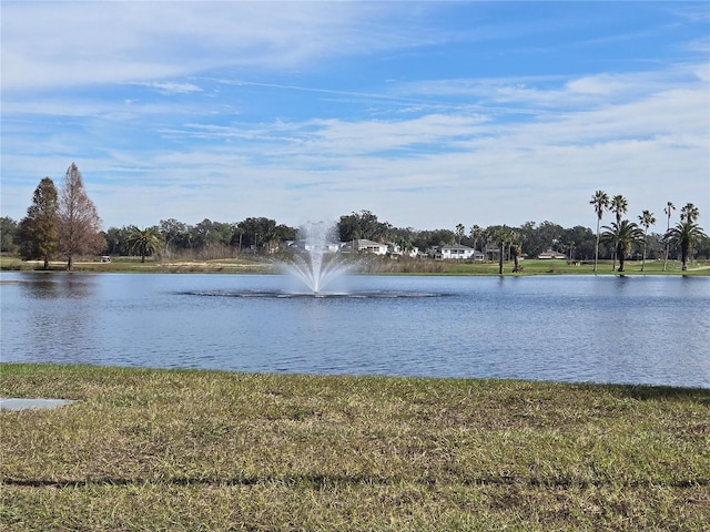 water view