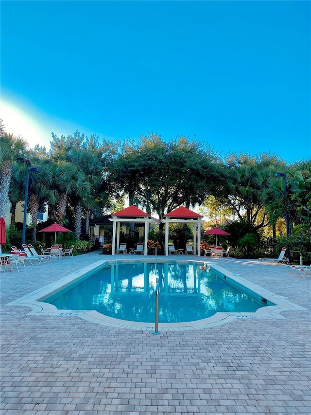 view of swimming pool featuring a patio