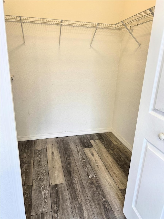 spacious closet featuring hardwood / wood-style flooring