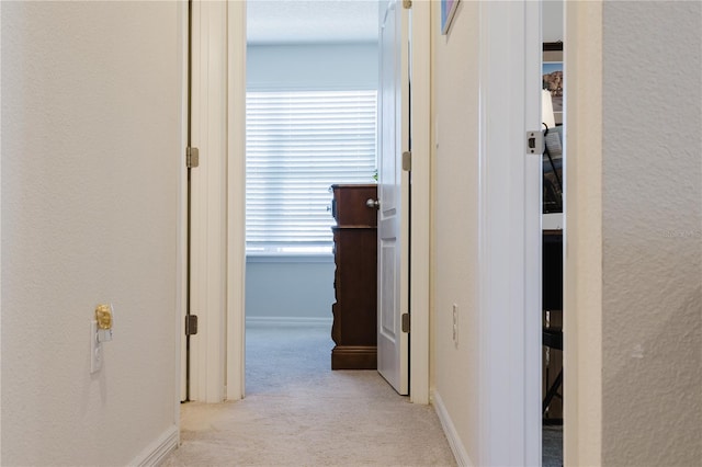 hall featuring light colored carpet