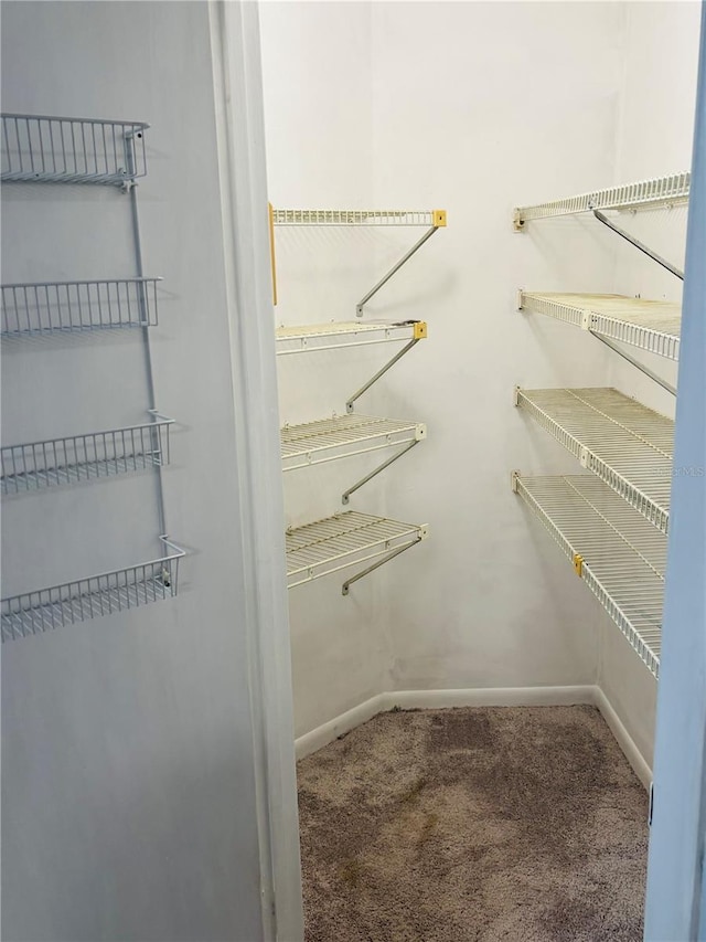 walk in closet featuring carpet