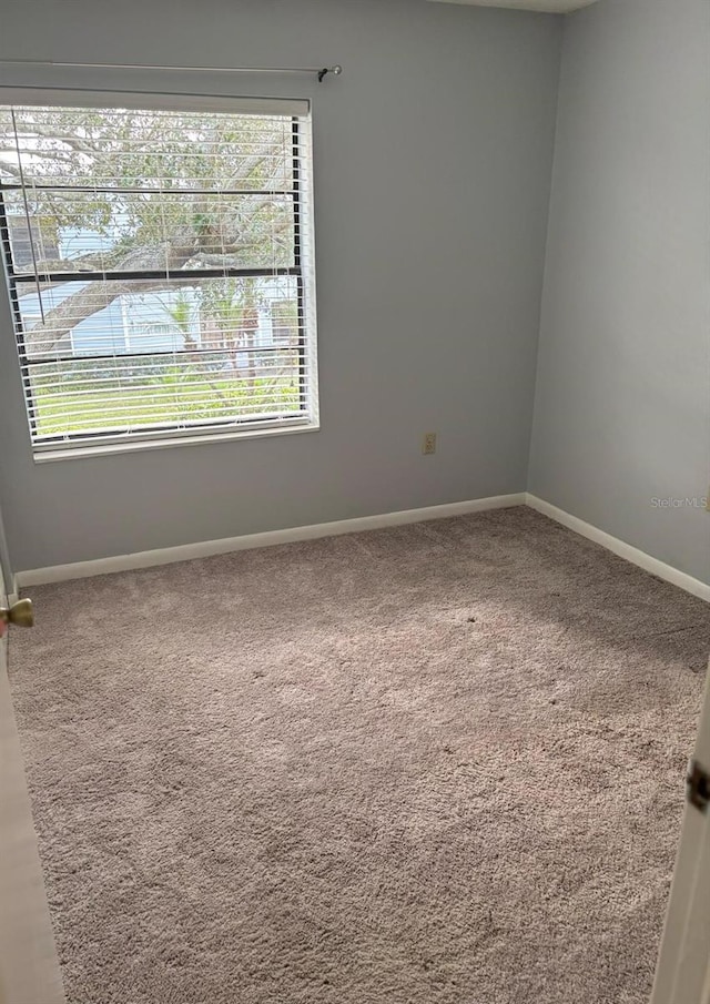 empty room featuring carpet floors