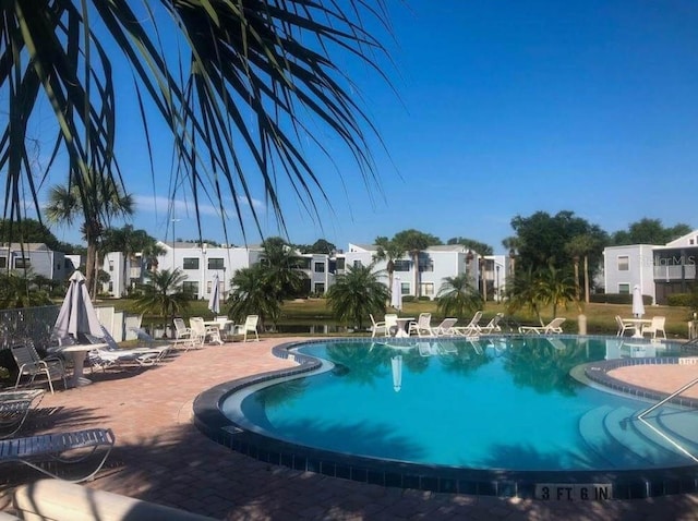 view of pool with a patio area