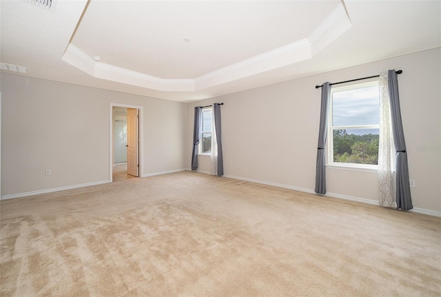 spare room featuring light colored carpet, a raised ceiling, and ornamental molding