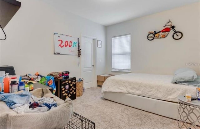 bedroom with light colored carpet