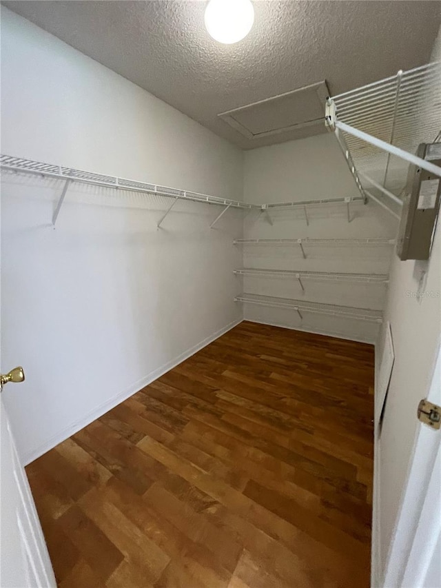 walk in closet with wood finished floors